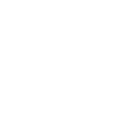 White icon representing comprehensive interior and exterior car detailing services.