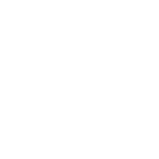 White stylish wheel icon representing high-performance rims.