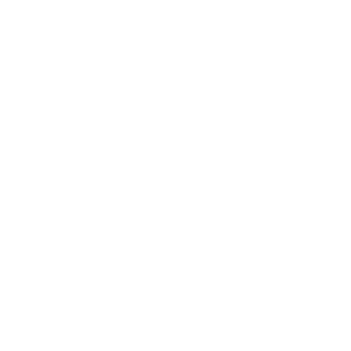 White icon symbolizing wheel alignment services for better vehicle performance.